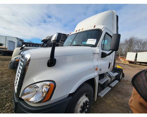 FREIGHTLINER CASCADIA 125 Hood