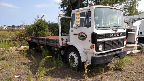 MACK MS300P
