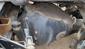 ReRun Truck Parts Axle Assembly (Rear Drive) DANA S23-170 ReRun Truck Parts Axle Assembly (Rear Drive) DANA S23-170