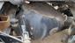 ReRun Truck Parts Axle Assembly (Rear Drive) DANA S23-170