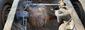 ReRun Truck Parts Axle Assembly (Rear Drive) EATON RSP40 ReRun Truck Parts Axle Assembly (Rear Drive) EATON RSP40