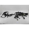 WIRE HARNESS Ducati Multistrada 1200 Motorcycle Parts L.a.