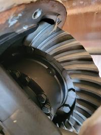 Differential Assembly (Rear, Rear) ROCKWELL RS-19-144