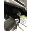 ALLIANCE R-15-2N Rears (Rear) thumbnail 2