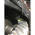 ALLIANCE R-15-2N Rears (Rear) thumbnail 2