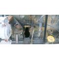 Doosan DL200 Engine Assembly thumbnail 6