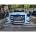 FREIGHTLINER CASCADIA Hood thumbnail 7