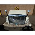 FREIGHTLINER CASCADIA Hood thumbnail 1
