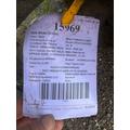 MERCEDES BENZ F080-2N Axle Beam (Front) thumbnail 3