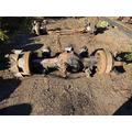 PETERBILT 359 Axle Housing (Front) thumbnail 3