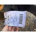 VOLVO VNL Axle Beam (Front) thumbnail 2