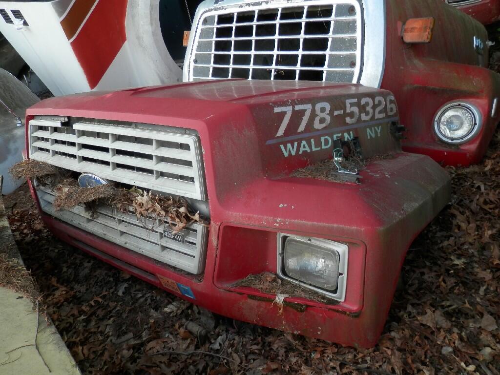 FORD F700 Hood in Wurtsboro, NY 2856
