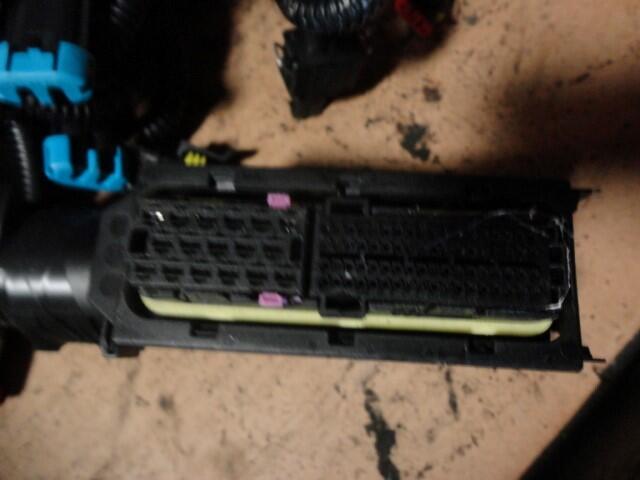 MACK WIRING HARNESS, ENGINE in Watseka, IL #GGR419351