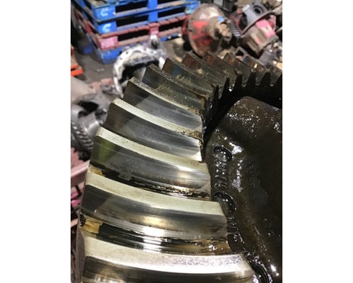 ALLIANCE R19-2N Rears (Rear)
