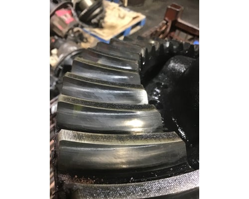 ALLIANCE R19-2N Rears (Rear)