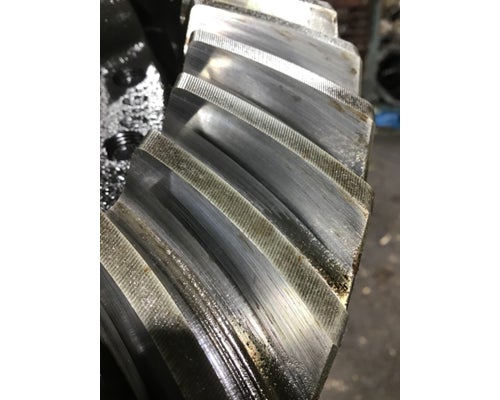 ALLIANCE R21-2N Rears (Rear)