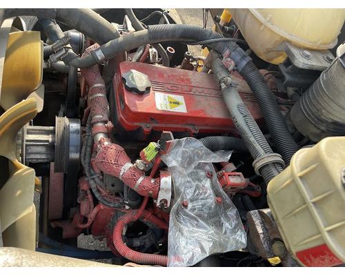 BLUE BIRD COMMERCIAL BUS Rebuilders