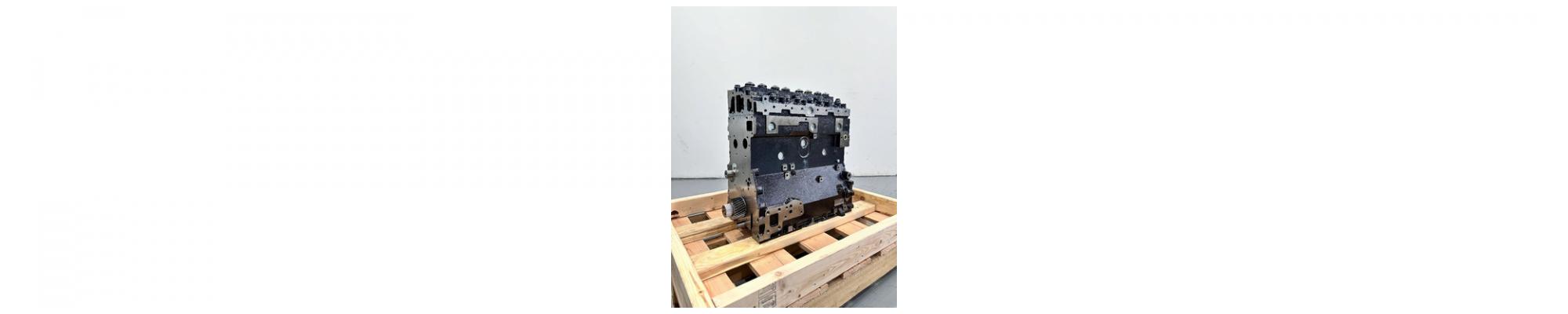 CATERPILLAR 3054 Engine Assembly In Chicago IL