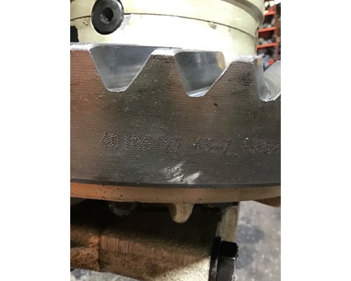 DANA/IHC N-175 Rears (Rear)