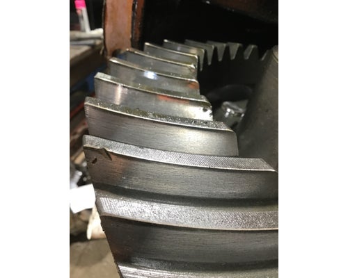 DANA/IHC N-175 Rears (Rear)