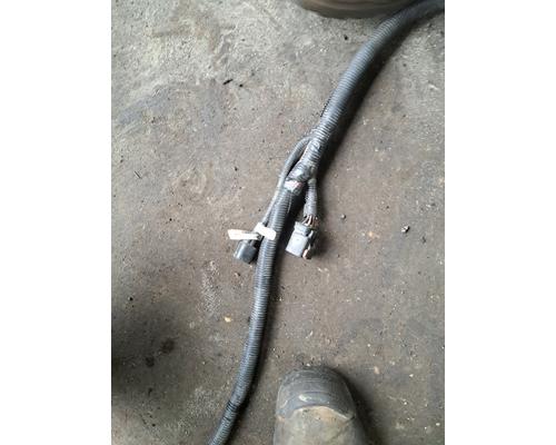 FREIGHTLINER CASCADIA 113BBC Body Wiring Harness