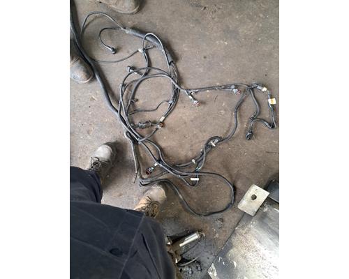 FREIGHTLINER CASCADIA 113BBC Body Wiring Harness