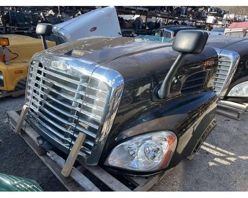  Freightliner Cascadia 113 Hood #