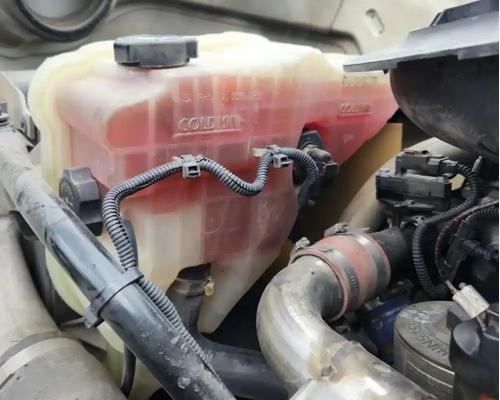  Freightliner Cascadia 113 Radiator Overflow #