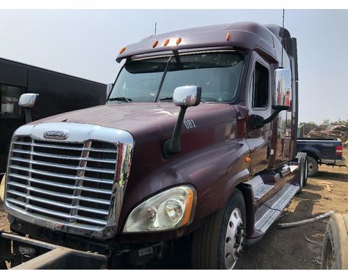 FREIGHTLINER CASCADIA 125BBC Hood