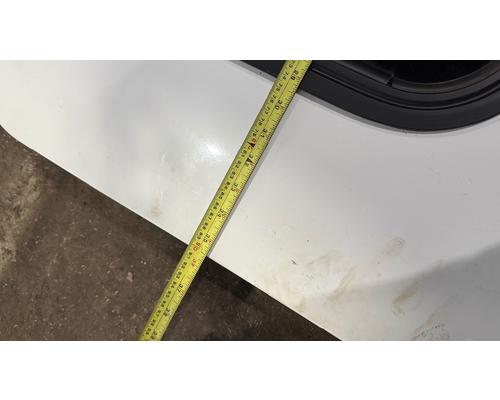 FREIGHTLINER CASCADIA Door Assembly Rear or Back