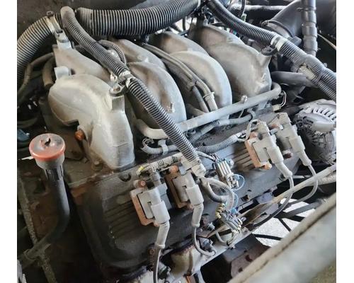  GM/Chev (HD) 8.1L Engine Assembly #