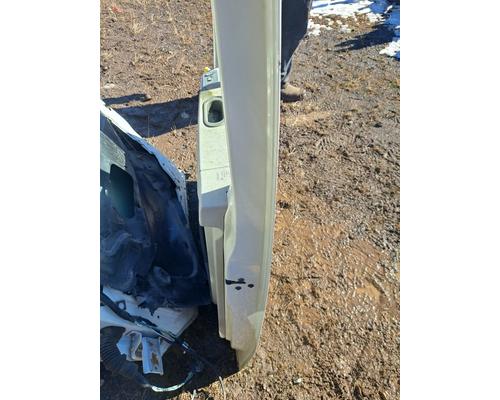 INTERNATIONAL Prostar Door Assembly, Front