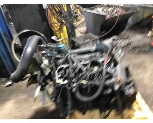 INTERNATIONAL VT365 Engine Assembly