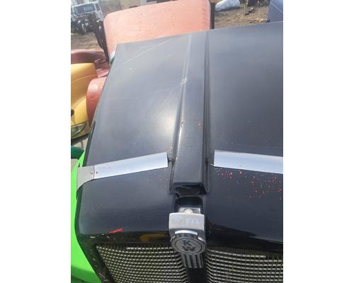 KENWORTH T600 Hood