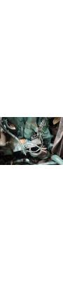 VOLVO D13 Engine Assembly thumbnail 14