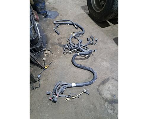   Body Wiring Harness