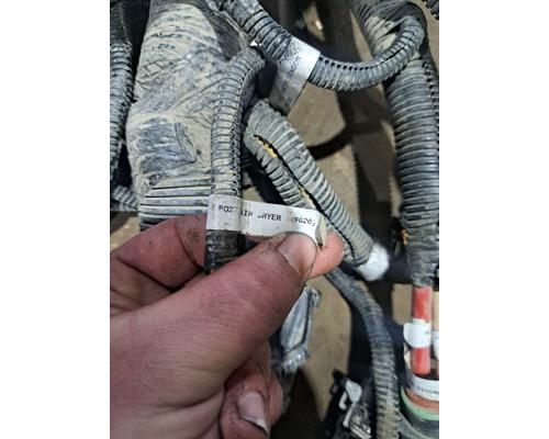   Body Wiring Harness