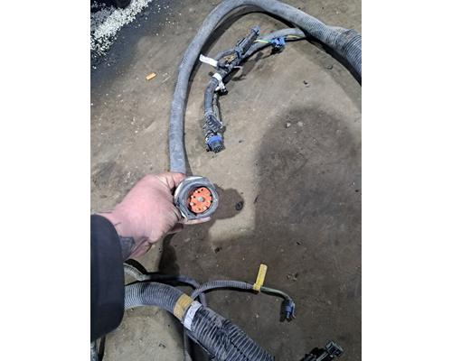   Body Wiring Harness