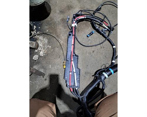   Body Wiring Harness