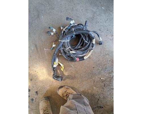   Body Wiring Harness