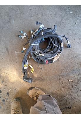   Body Wiring Harness