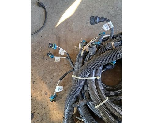   Body Wiring Harness