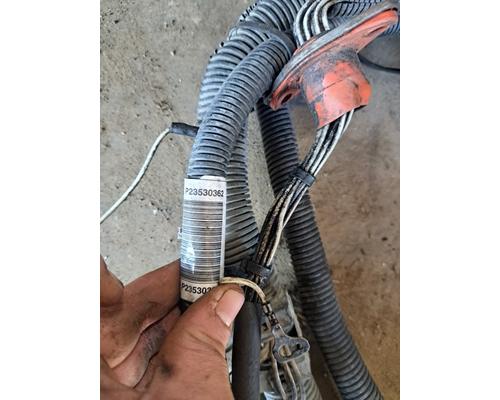   Engine Wiring Harness