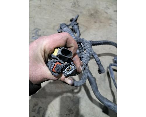   Engine Wiring Harness