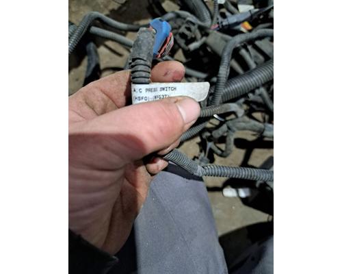   Engine Wiring Harness