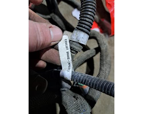   Engine Wiring Harness