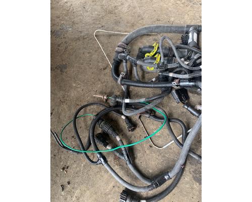   Engine Wiring Harness