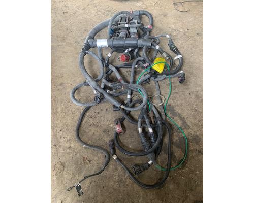   Engine Wiring Harness