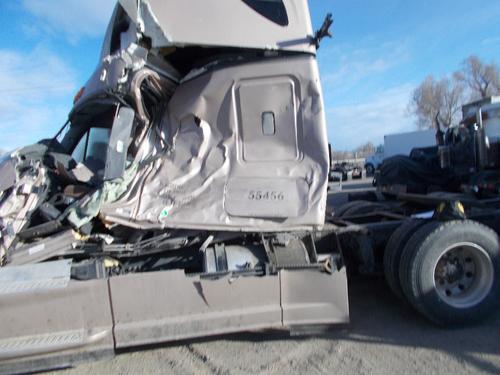 FREIGHTLINER CASCADIA 125