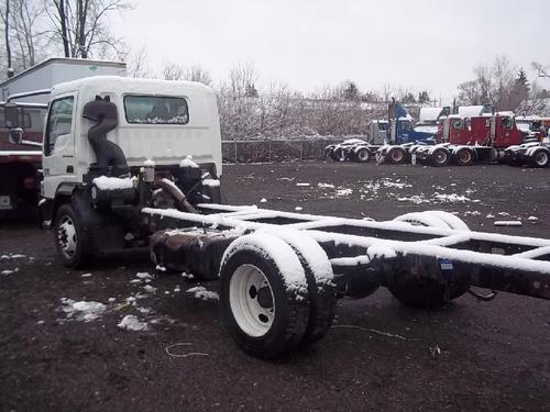 INTERNATIONAL CF600